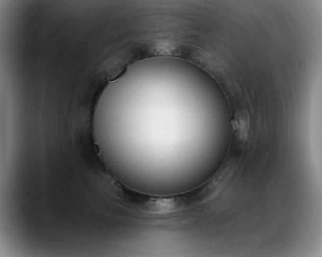 X0000089390665200706151223