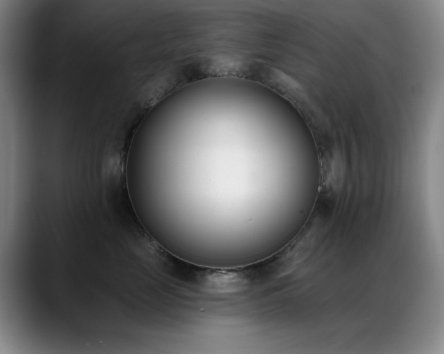 X0000089390669200706151223