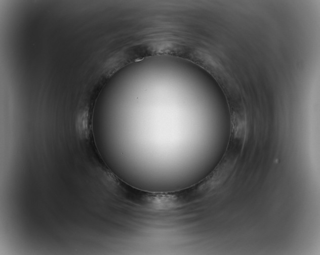 X0000089390670200706151223