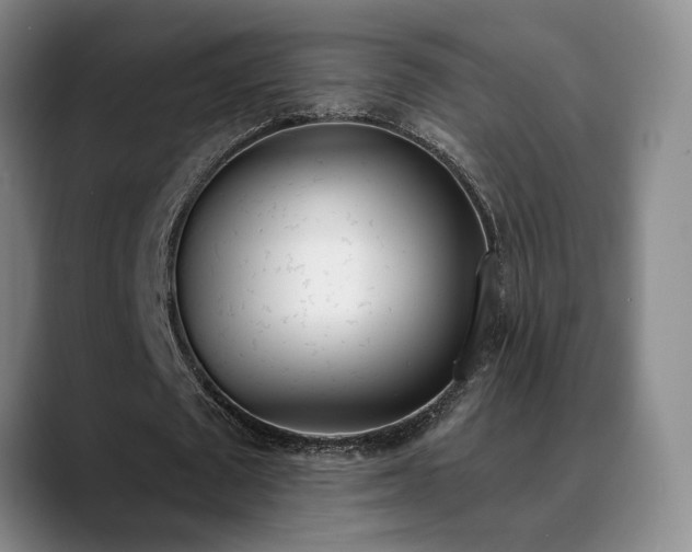 X0000089390673200706151223