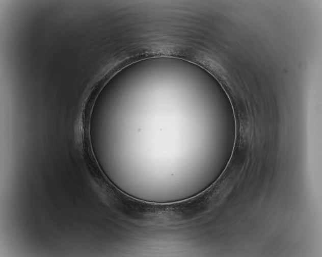 X0000089390674200706151223