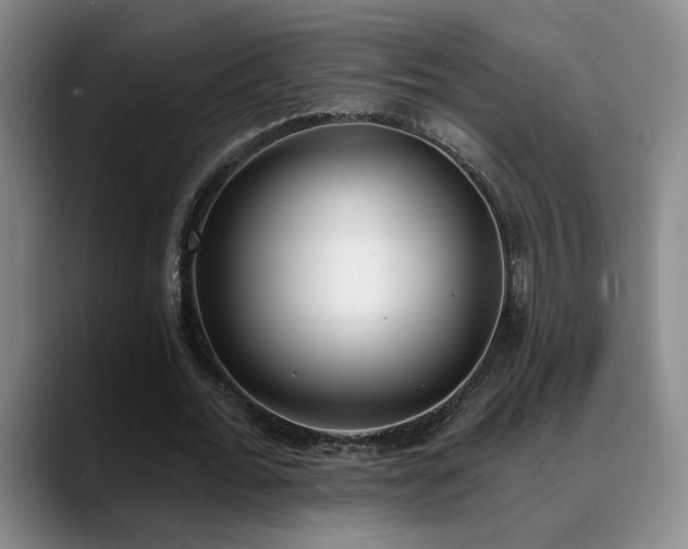 X0000089390676200706151223