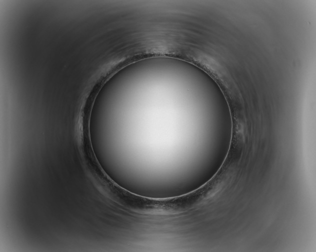 X0000089390678200706151222