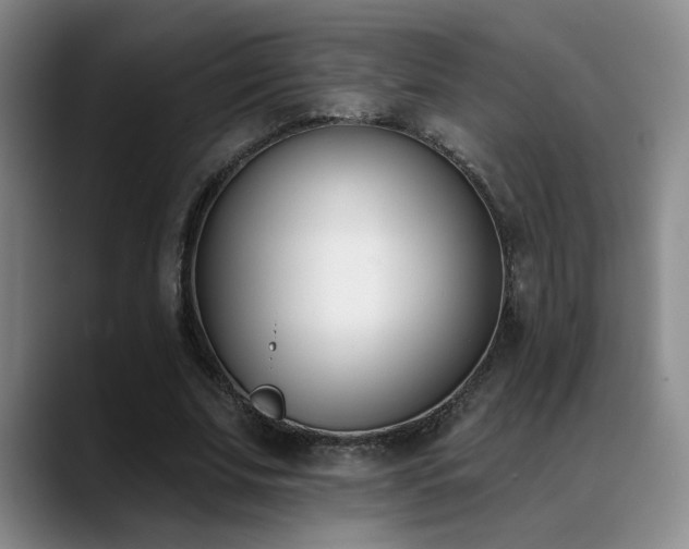X0000089390679200706151222