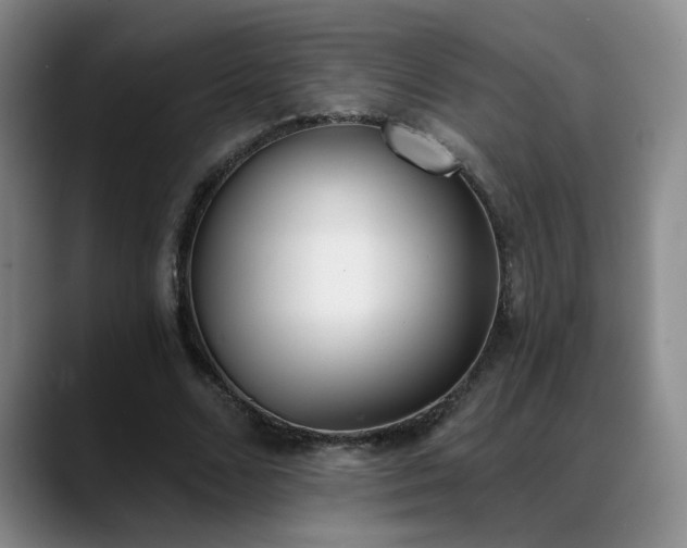 X0000089390680200706151222