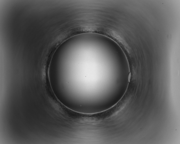 X0000089390681200706151222