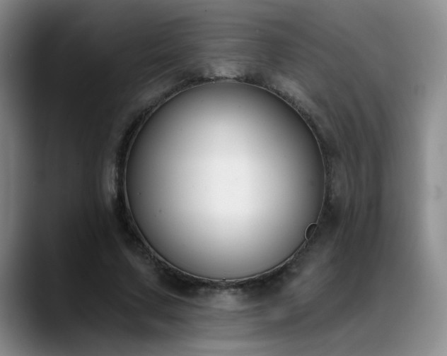 X0000089390683200706151222