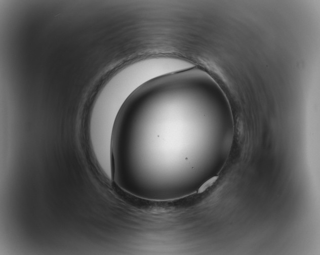 X0000089390684200706151222