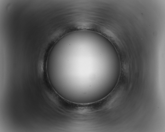 X0000089390686200706151222