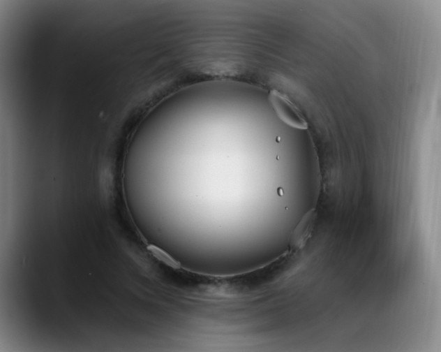 X0000089390688200706151222