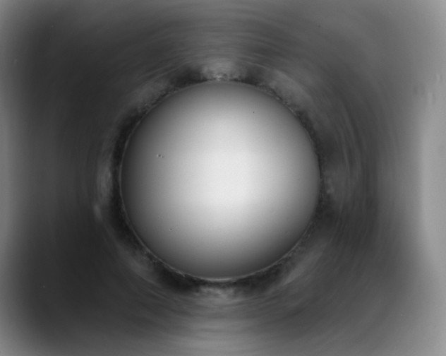 X0000089390690200706151222