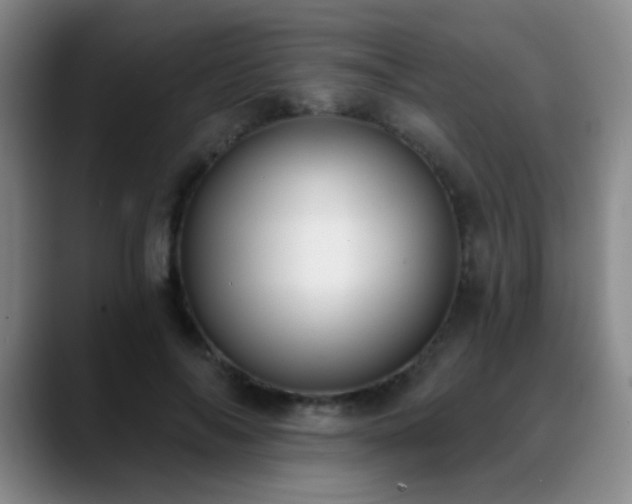 X0000089390694200706151222