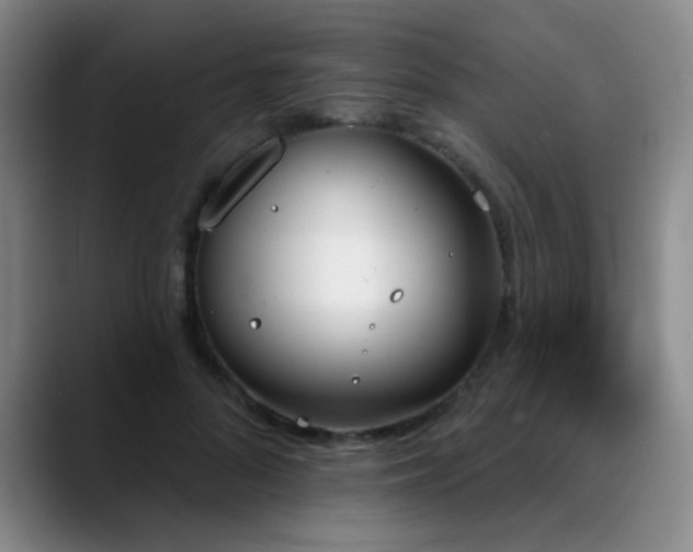 X0000089390696200706151222