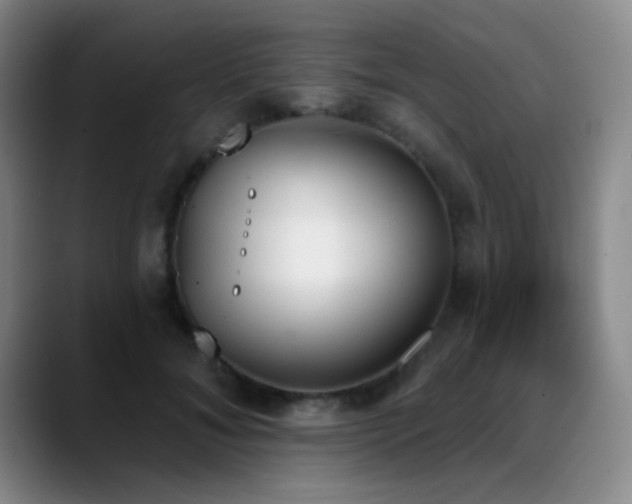 X0000089390700200706151222