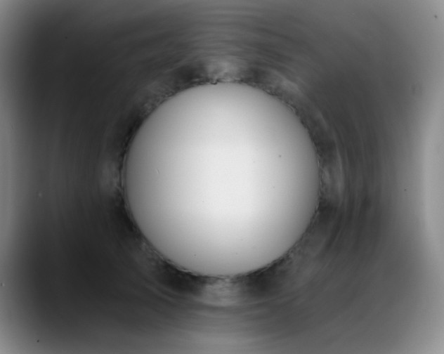 X0000089390705200706151222