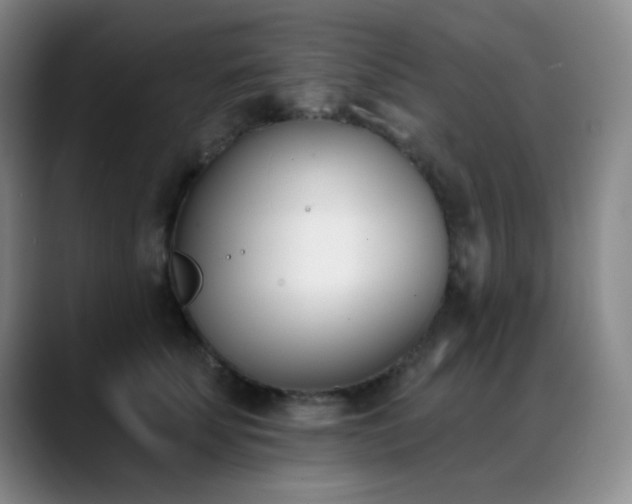 X0000089390707200706151222