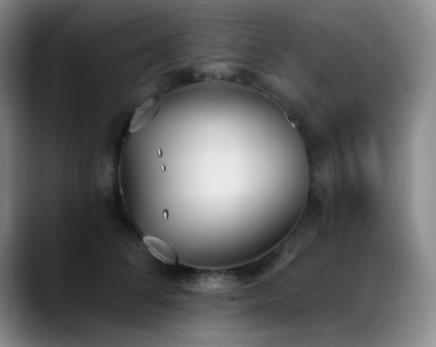 X0000089390708200706151222