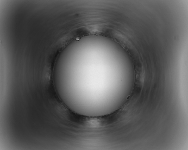X0000089390710200706151222