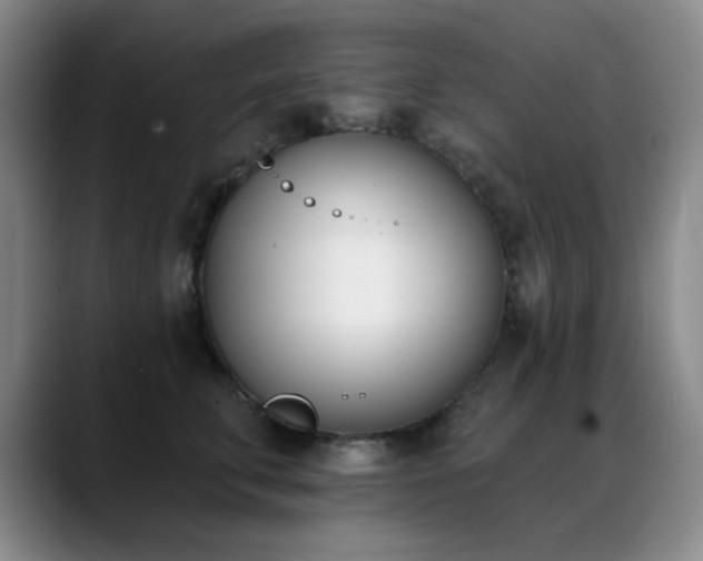 X0000089390711200706151222