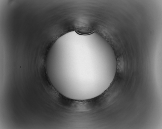 X0000089390713200706151222