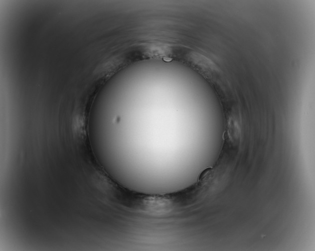 X0000089390714200706151222