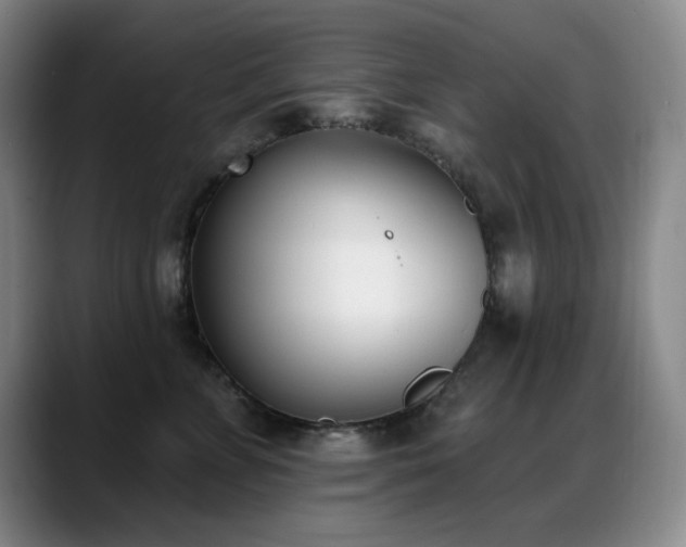 X0000089390715200706151222