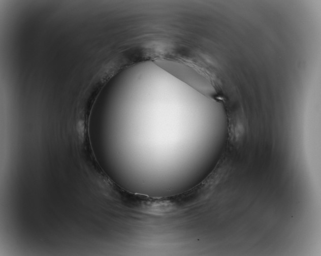 X0000089390716200706151222