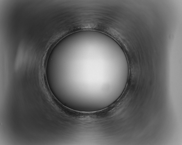 X0000089390721200706151221