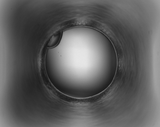 X0000089390722200706151221