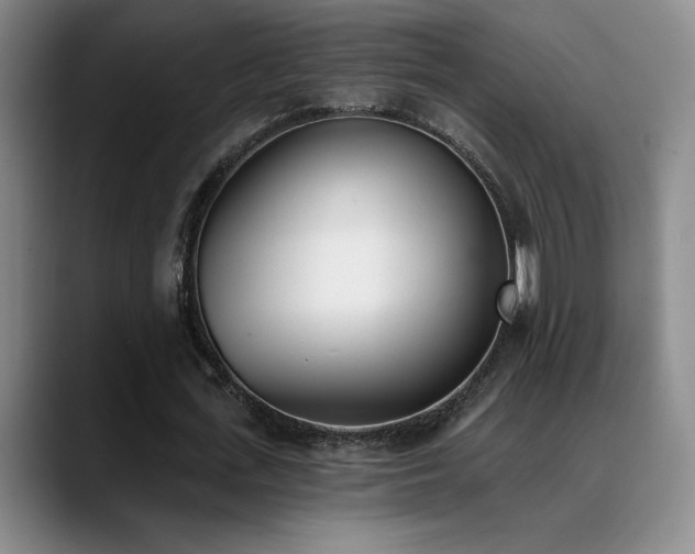 X0000089390723200706151221