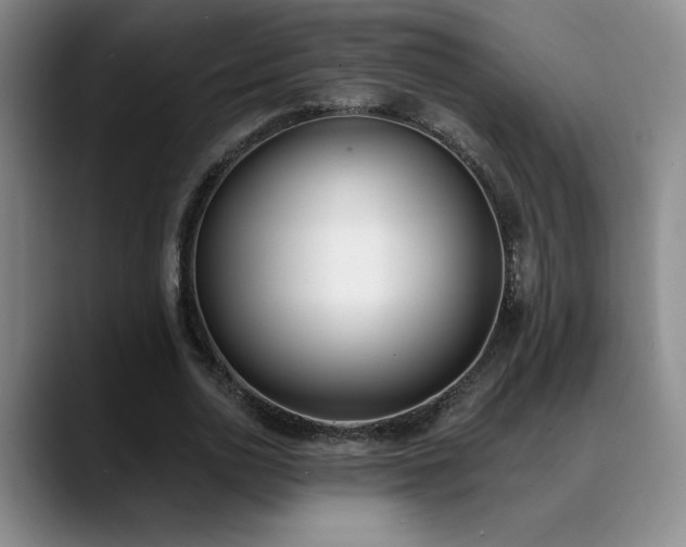 X0000089390726200706151221