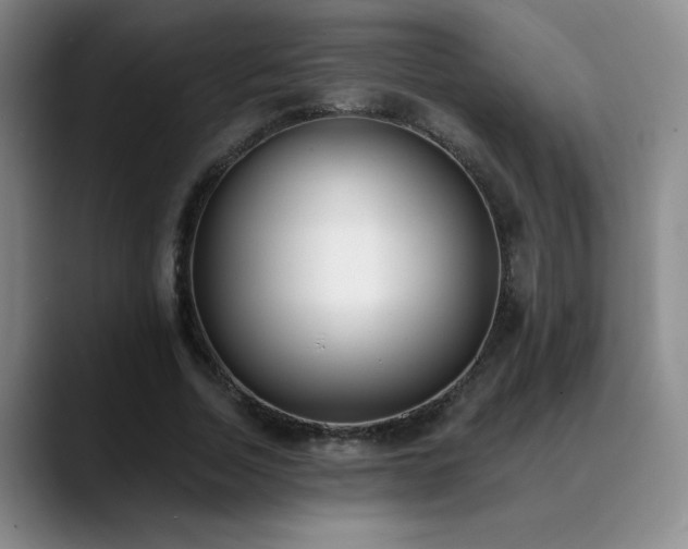 X0000089390730200706151222