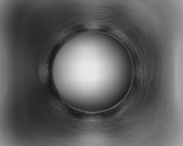 X0000089390731200706151222