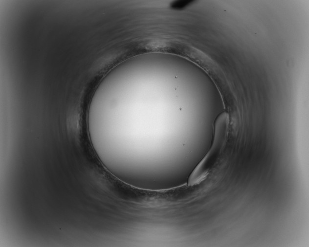 X0000089390732200706151222