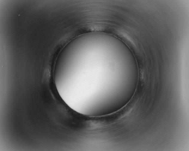 X0000089390733200706151222