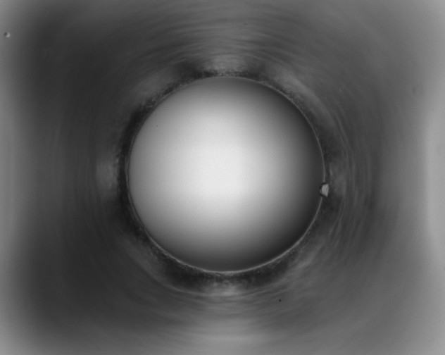 X0000089390735200706151222