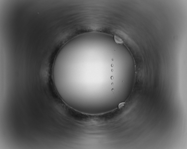 X0000089390736200706151222