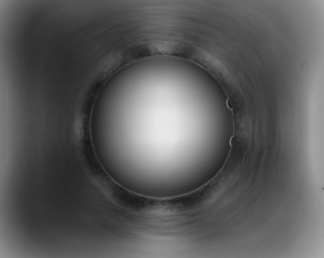 X0000089390738200706151222