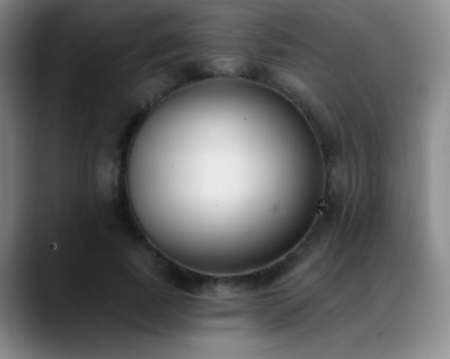 X0000089390739200706151222