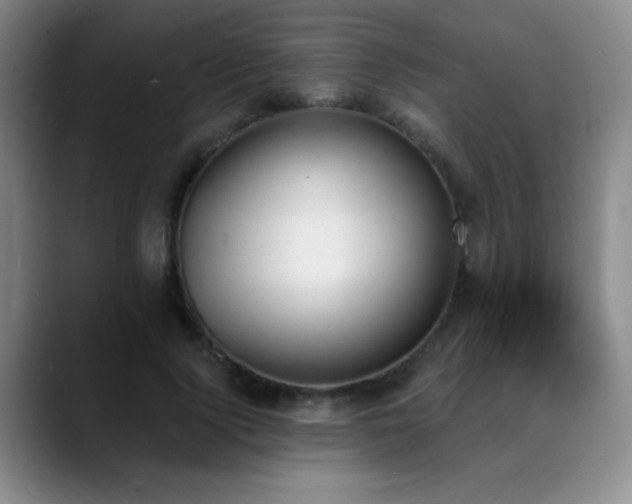 X0000089390740200706151222