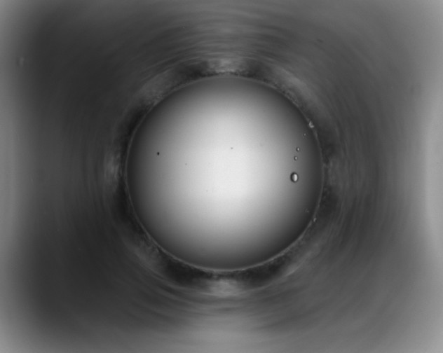 X0000089390741200706151222