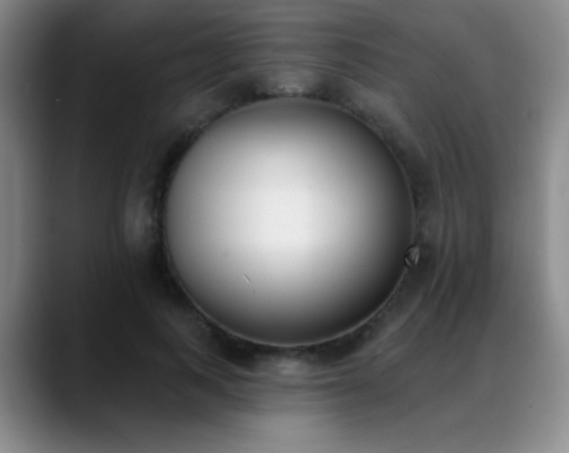 X0000089390743200706151222