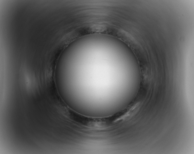 X0000089390745200706151222