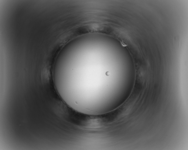 X0000089390746200706151222