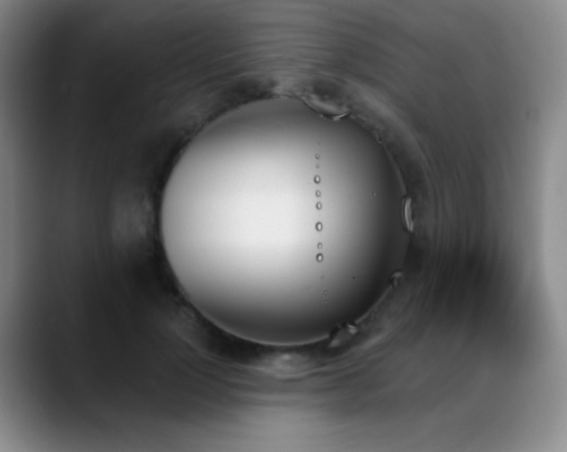 X0000089390748200706151222