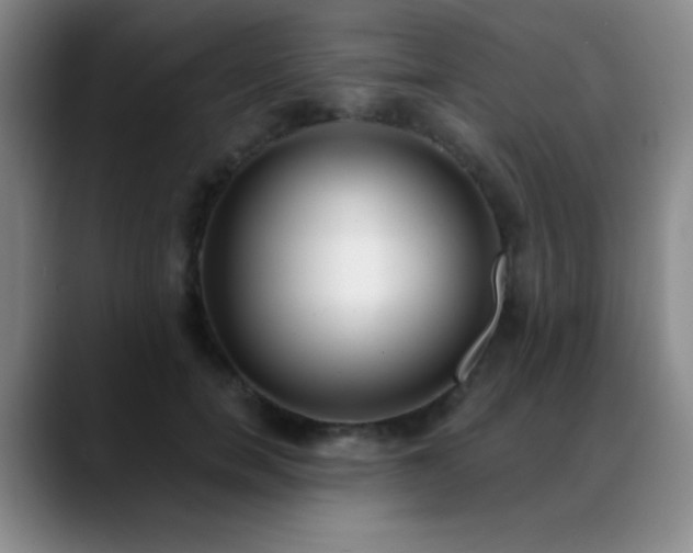 X0000089390750200706151222