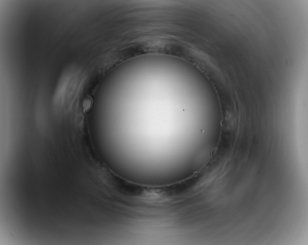 X0000089390753200706151222