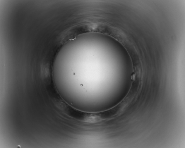 X0000089390754200706151222
