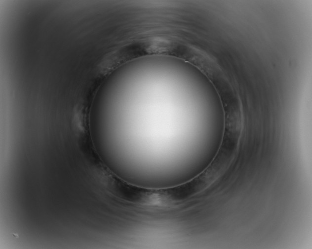 X0000089390755200706151222