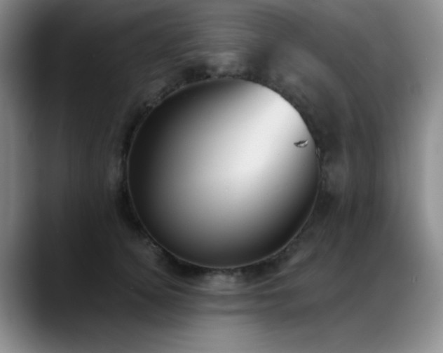 X0000089390756200706151222